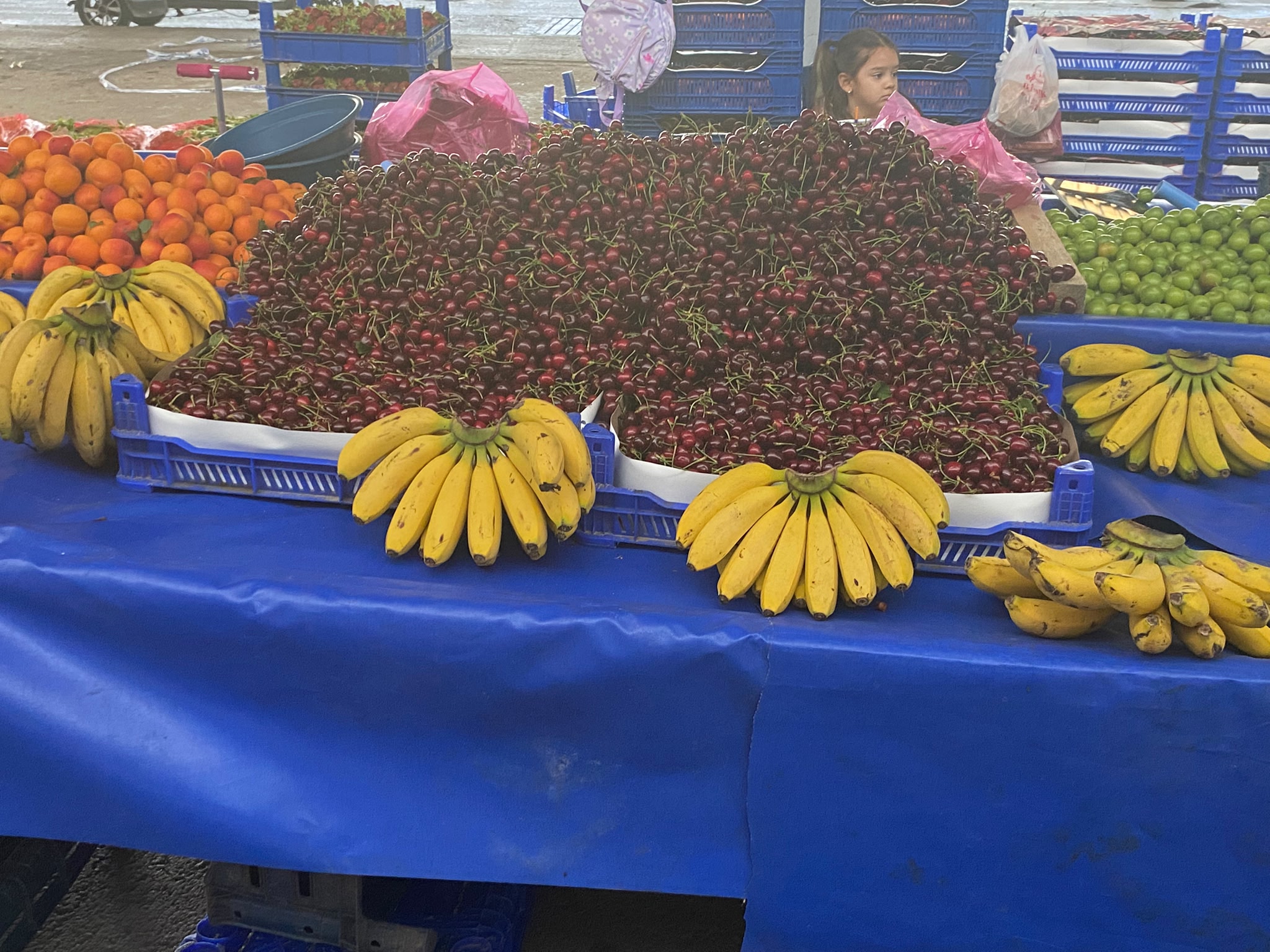 Edirne’de her pazartesi kurulan Kent Pazarı’nda yaz mevsiminin habercisi karpuzlar tezgâhlardaki yerini aldı.